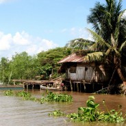 Mekong Delta, South Vietnam