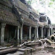 Tap Phrom Temple, Cambodia – View 1