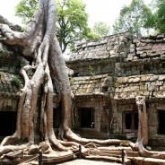 Tap Phrom Temple, Cambodia – View 2